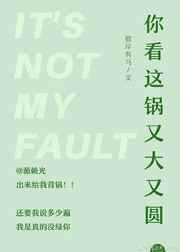 你看这个锅又大又圆小说