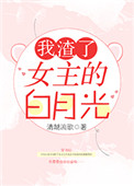 我渣了女主的白月光小说