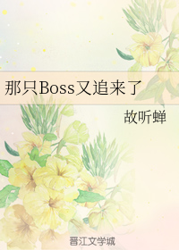 那只Boss又追来了
