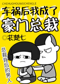 车祸后我成了豪门总裁双洁吗