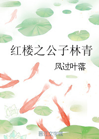 [红楼同人]红楼之林大少爷