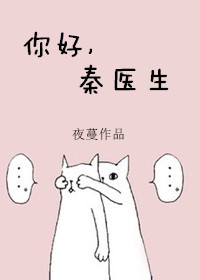 你好秦医生小说讲了什么