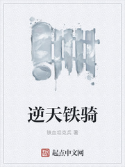 铁骑的小说