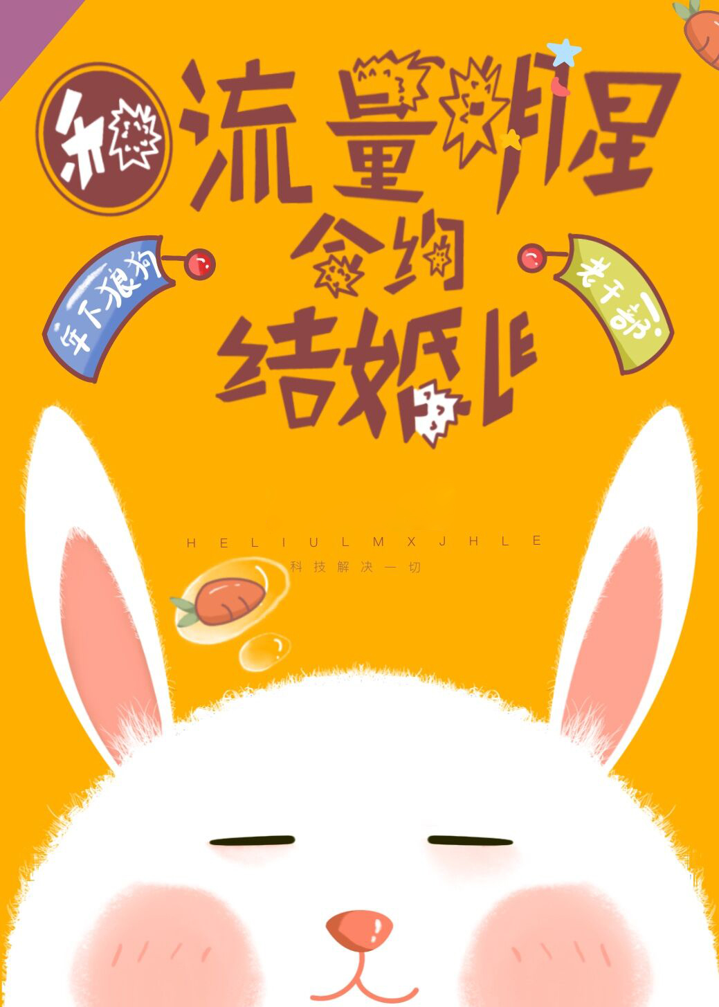 和流量明星结婚之后