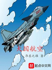 大国航空笔趣阁