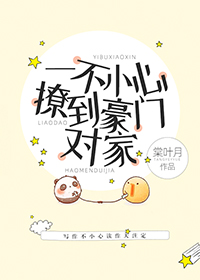 一不小心撩到你免费阅读