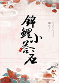 清穿锦鲤小答应TXT百度网盘