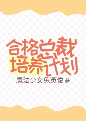 合格总裁培养计划书