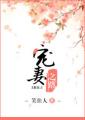 宠妻之路txt