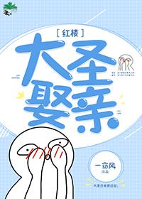 [红楼]大圣娶亲完结