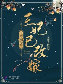王爷别虐了王妃已改嫁合集