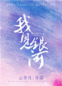 我见银河小说盛亦