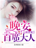 七夜禁宠：晚安,首席大人