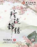 玲珑锦绣百度云