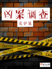 凶案调查 小说