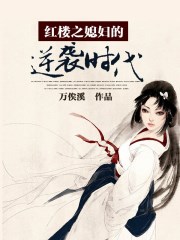 红楼之媳妇的逆袭时代