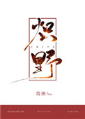 炽野军装小说