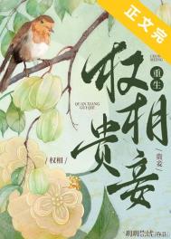 权相之宠妻日常