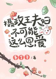 摄政王夫妇不可能这么恩爱 手丁子