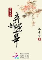 少女太妃传