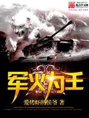 军火之王小说好看吗