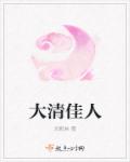 大清佳人相似小说