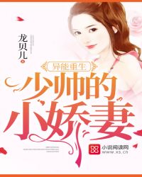 重生少帅小说排行
