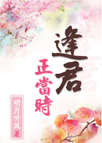 逢君正当时小说正确版本