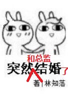 突然和总监结婚了TXT下载