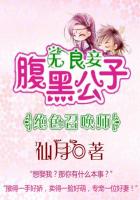 公子绝色腹黑相公太狡猾