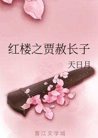 红楼之贾赦长子过继给外祖家