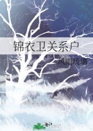 锦衣卫关系户 百度云