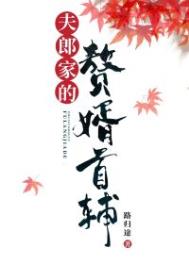 夫郎家的赘婿首辅txt百度云