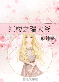 红楼之贾瑞重生53章