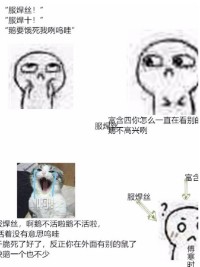 福尔摩斯鼠绝不认输吞鱼