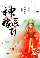 神医嫁到 闲听落花TXT