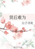 贤后难为小说下载
