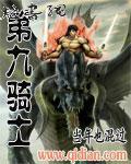 第九骑士