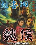 魏侯魏王