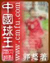 中国球王攻略