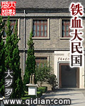 铁血大民国无防盗