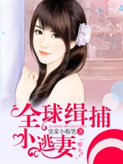 全球缉捕小逃妻