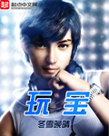 玩宝同义词