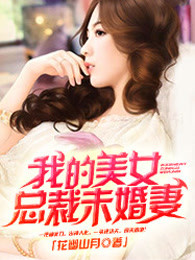 我的美女总裁未婚妻林轩转