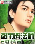 都市最强法师辰