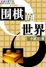 围棋的世界冠军是谁