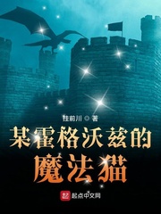 某魔法的霍格沃茨女主几个