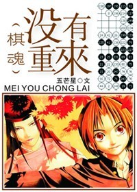 [棋魂]没有重来作者:五芒星
