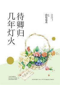 几年灯火待卿归男主