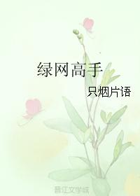 绿网高手